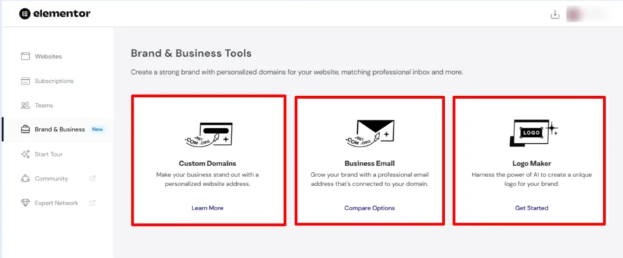 elementor custom domain