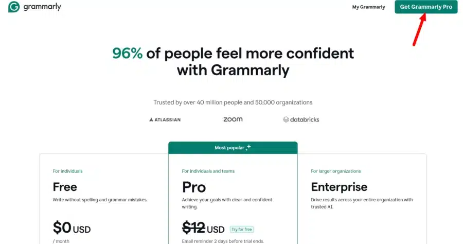 Grammarly Pro